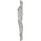 Ekena Millwork 29 3/4"W x 15 1/4"H x 1"P Avery Onlay, Left ONL30X15X01AV-L - alternate 2